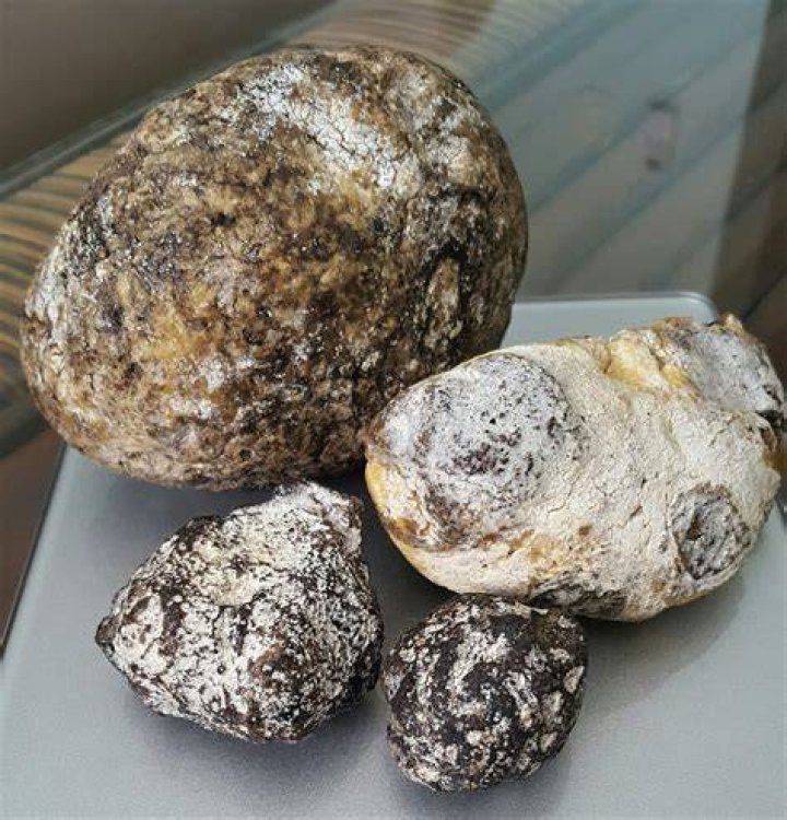 How much is a kilo of ambergris worth?
