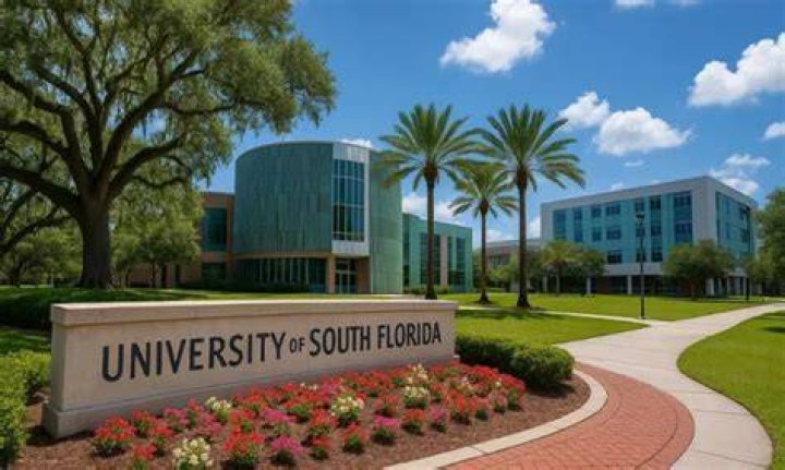 How much is a semester at University of South Florida?