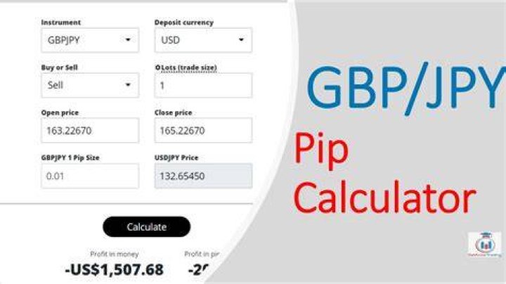How much is PIP 2021?