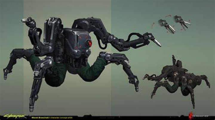 How much is the Flathead cyberpunk?