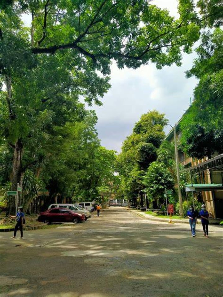 How much is the tuition fee in San Carlos Cebu?
