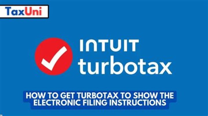 How much is TurboTax Online Filing?
