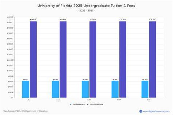 How much is University of South Florida tuition per year?