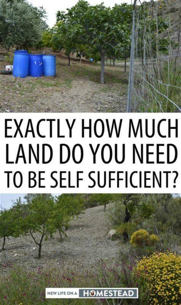 How much land do you need to subdivide?