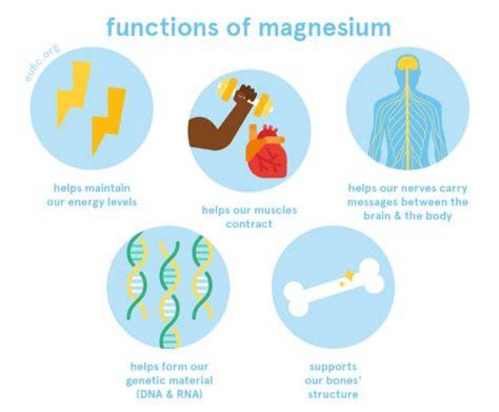 How much magnesium does the brain need?