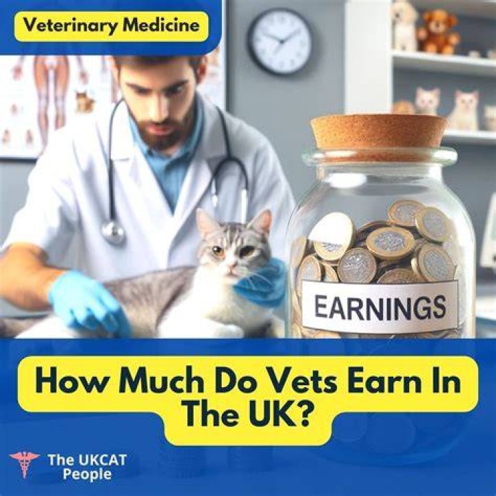 How much money do vets earn in Australia?