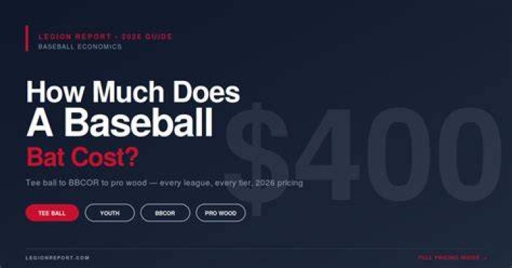 How much money does a bat cost?