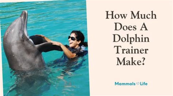 How much money does an animal trainer make?