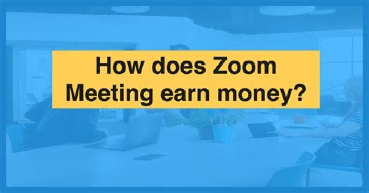 How much money does the zoom company have?