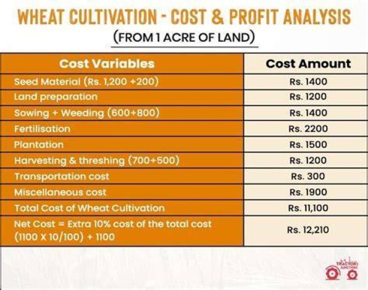 How much money does wheat make per acre?