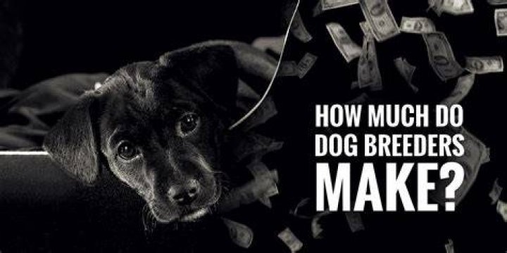 How much profit do dog breeders make?