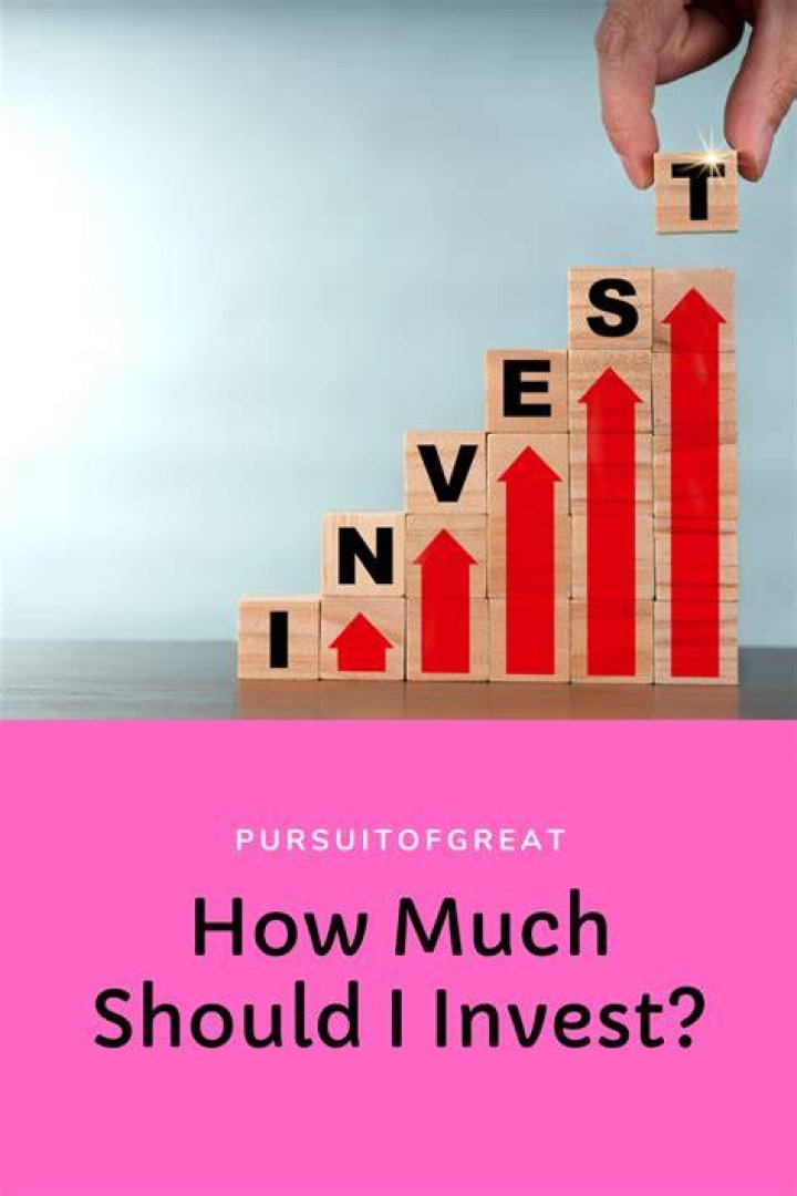 How much should an investor invest in a company?