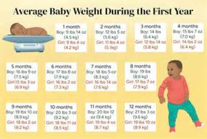 How much should my 1 year old weigh?
