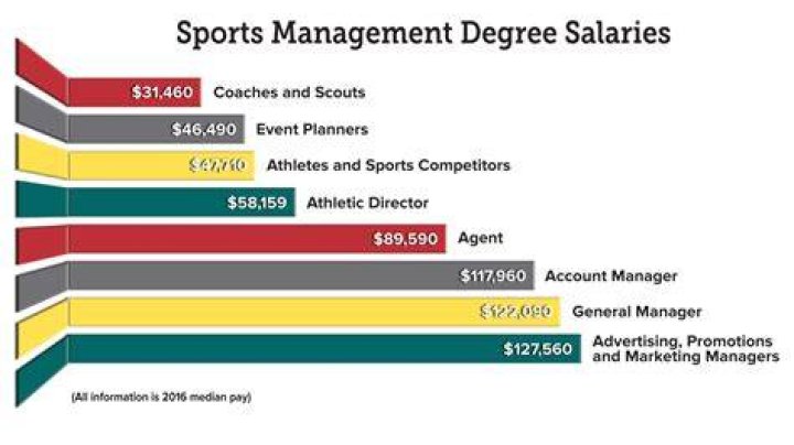 How much to sports agents make a year?