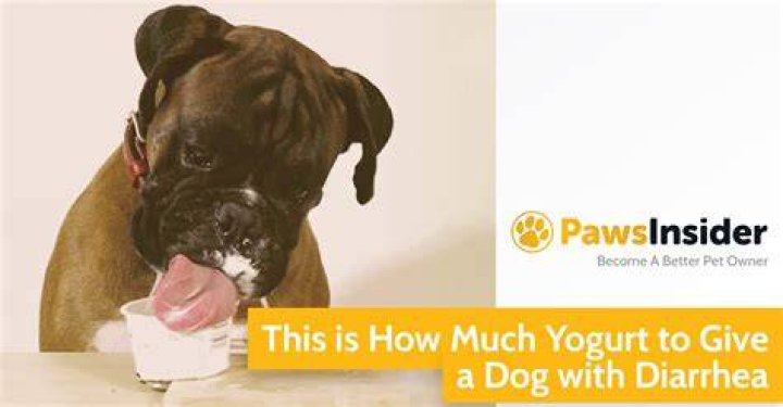 How much yogurt can I give my dog for diarrhea?