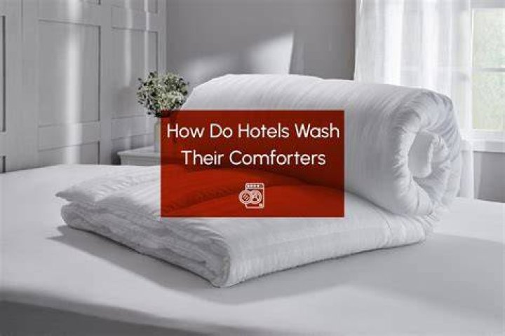 How often do hotels wash comforters?