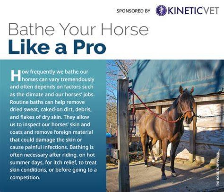 How often should horses be bathed?