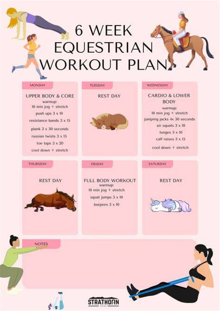 How often should I exercise my horse?