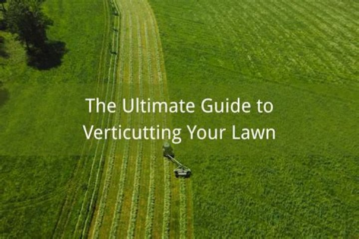 How often should I Verticut?