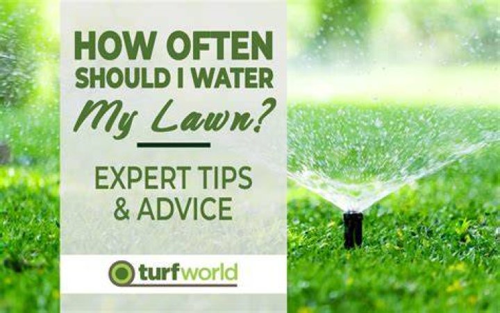 How often should I water my grass?