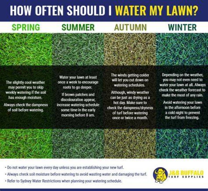 How often should I water my lawn in the summer?