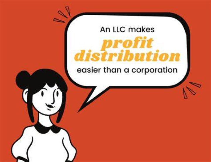 How often should LLC distribute profits?