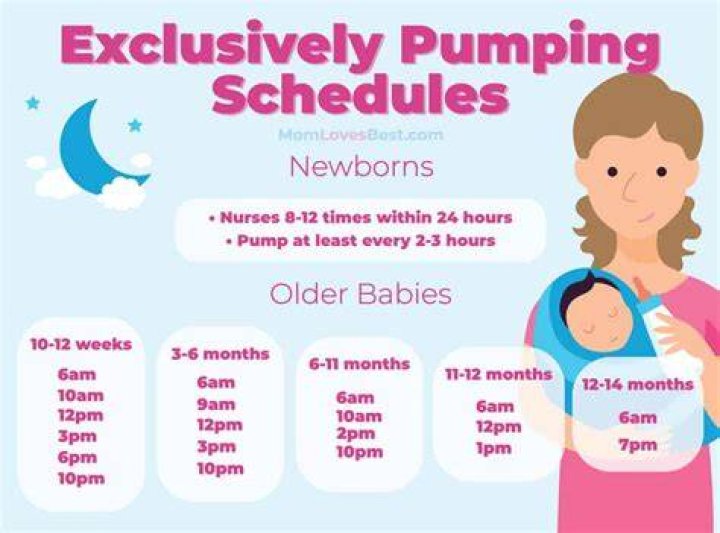 How often should you pump at night?