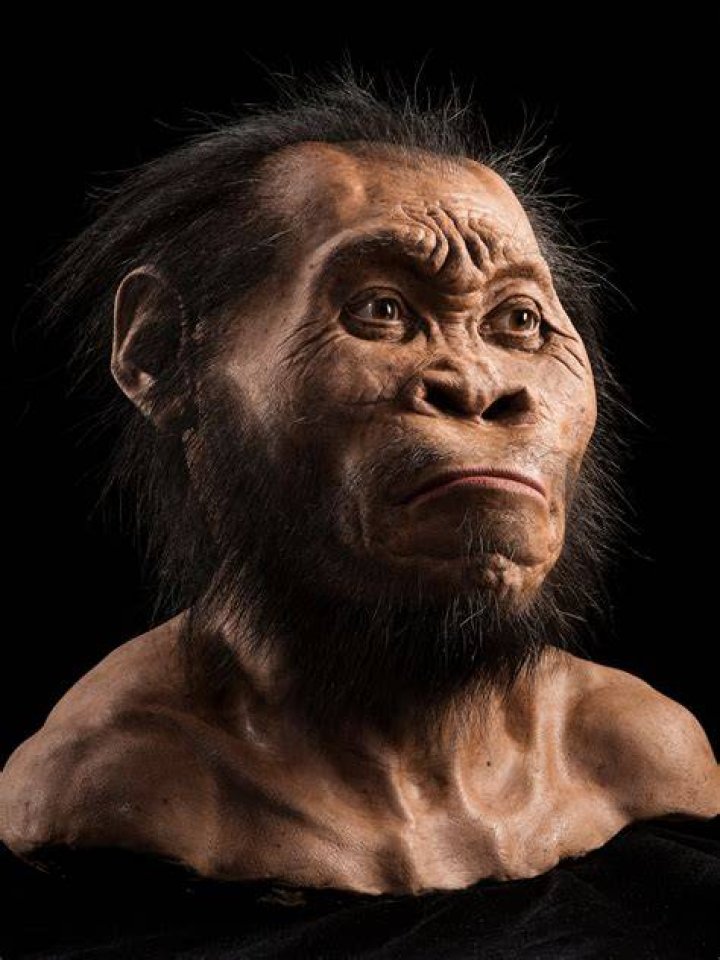 How old is human history?