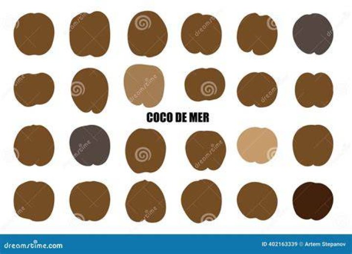 How rare is the name Coco?