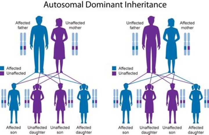 How should inheritance be split with mixed families?