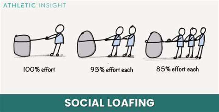 How social loafing affects team effectiveness?