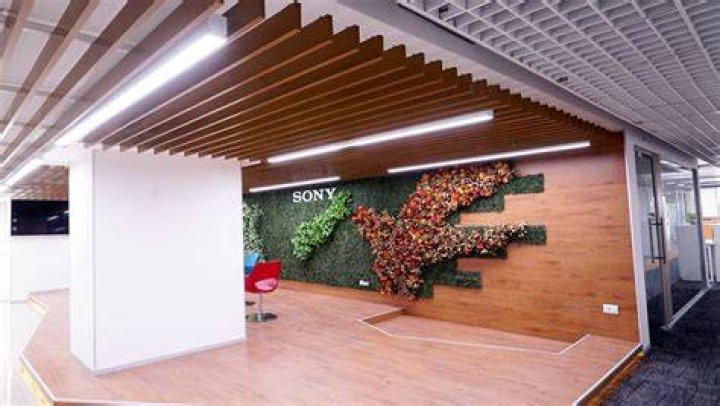 How to get a placement in Sony?
