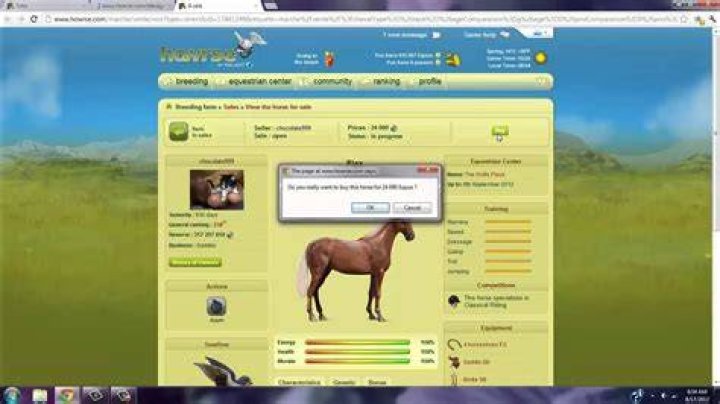 How to increase your general ranking on Howrse?