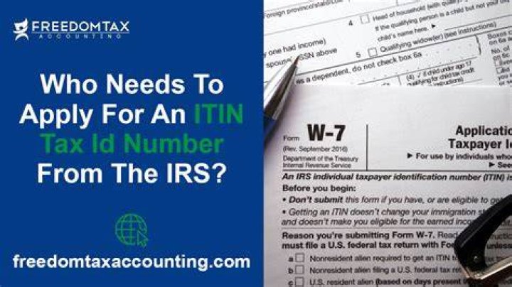 How to know what type of tax ID to apply for?