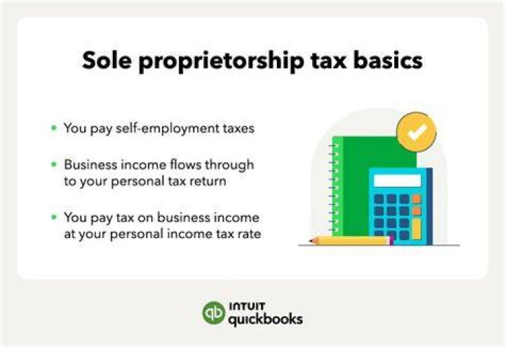 How to report income from a sole proprietorship?