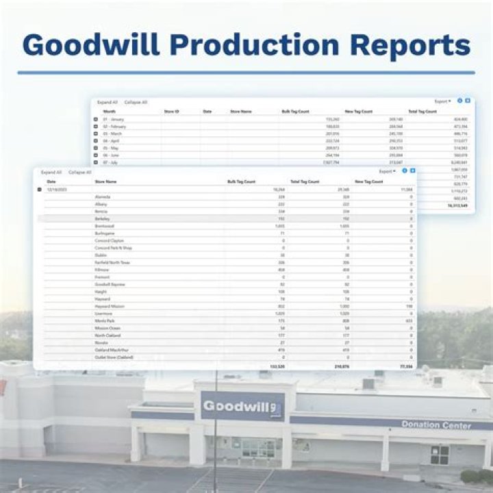 How to report the sale of goodwill created upon the purchase?