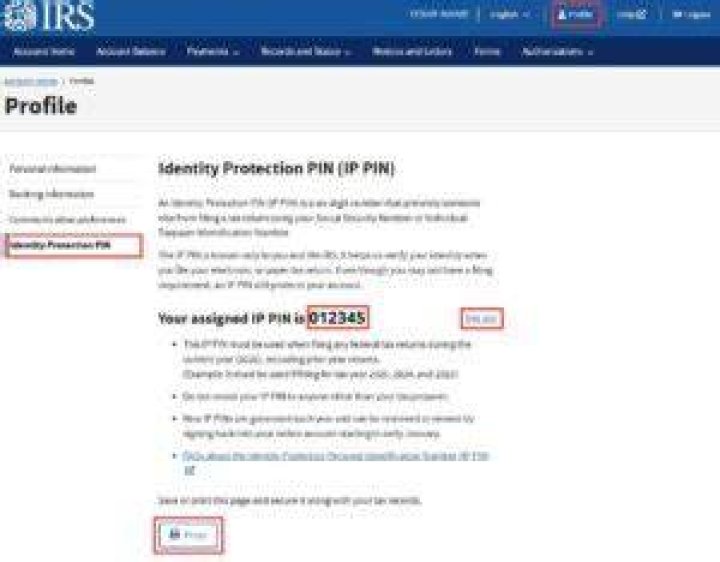 How to retrieve your Internal Revenue Service IP pin?