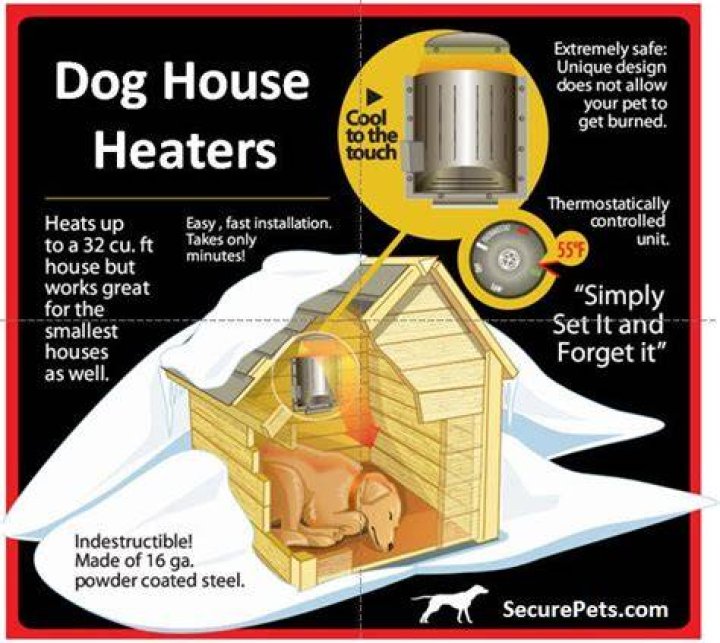 How warm should a house be for a dog?