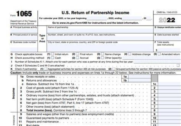 Is a 1065 A business tax return?