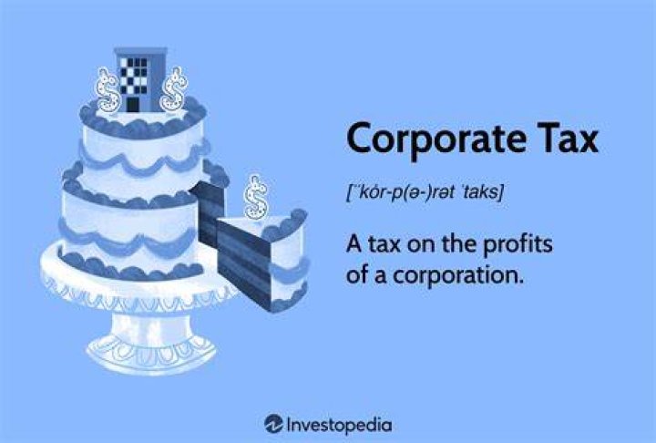 Is a corporation that does not pay corporate taxes on profits?