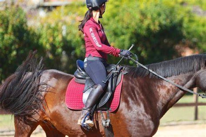 Is a horse riding school profitable?