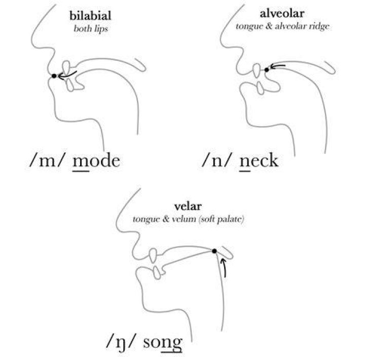 Is a nasal voice natural?