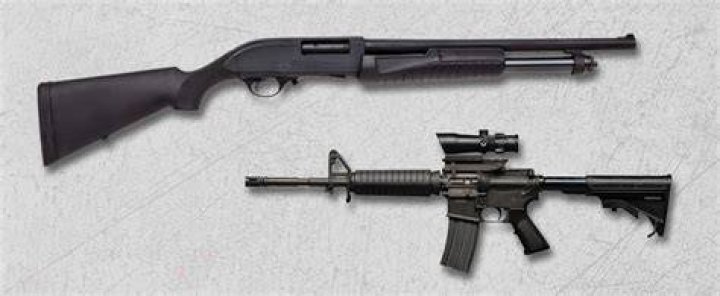 Is a rifle a shotgun?