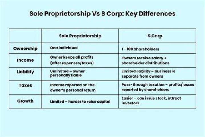 Is a sole proprietor an S corp?