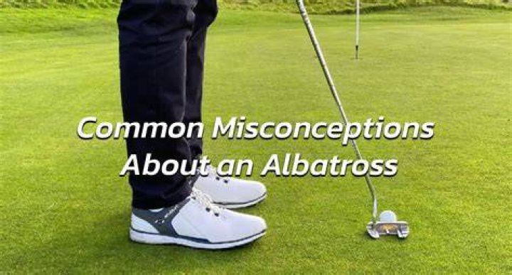 Is albatross better than hole-in-one?