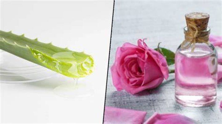Is aloe vera and rose water good for face?