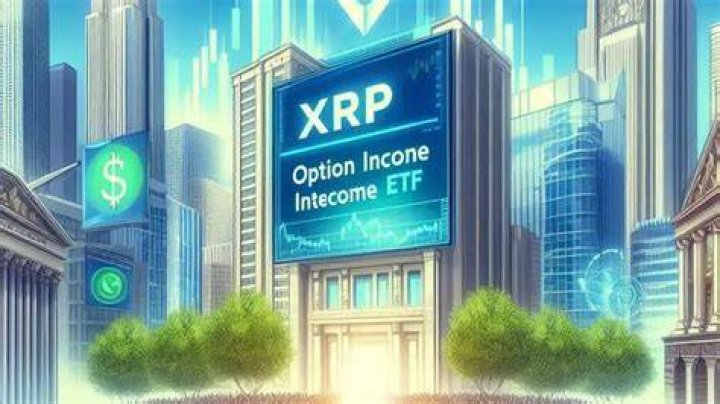 Is an option fee income?