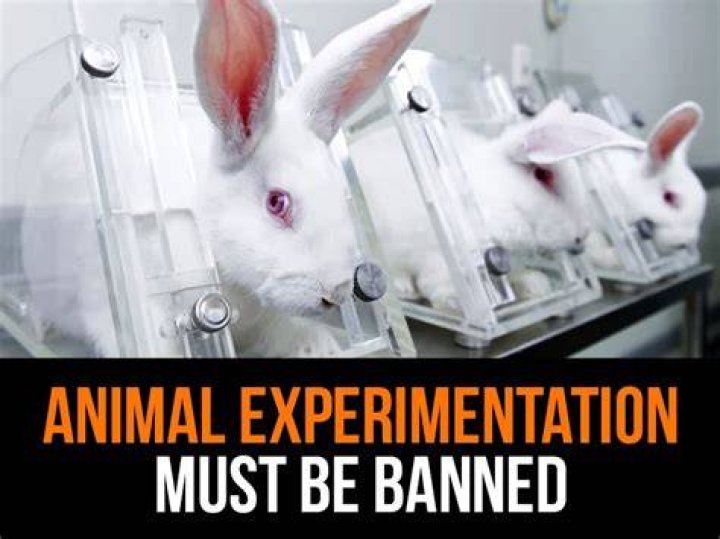Is animal testing illegal?