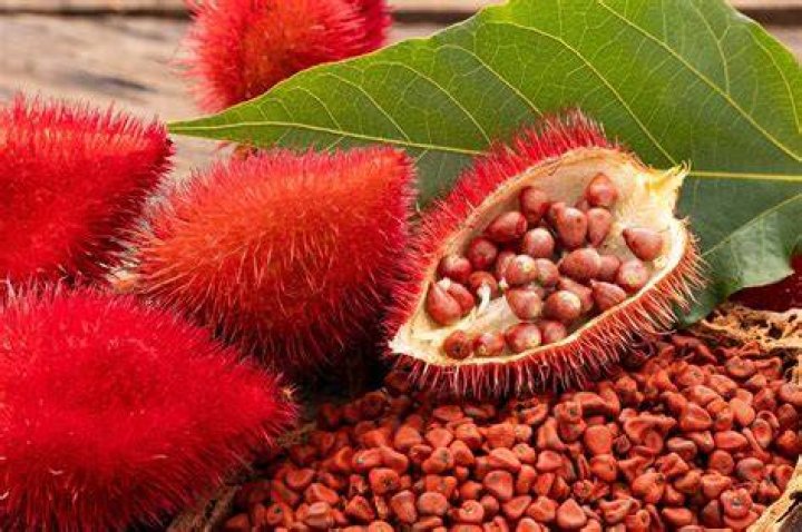 Is annatto a nightshade?