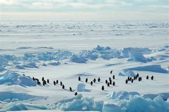 Is Antarctica a temperate desert?